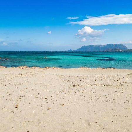Le Dimore Di Nettuno Olbia Eksteriør billede
