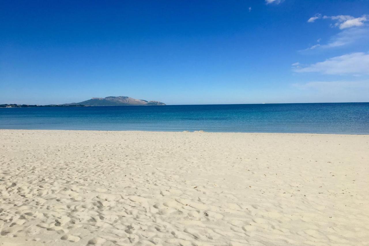 Le Dimore Di Nettuno Olbia Eksteriør billede
