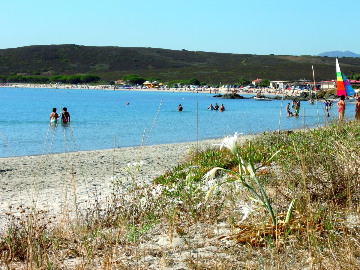 Le Dimore Di Nettuno Olbia Eksteriør billede